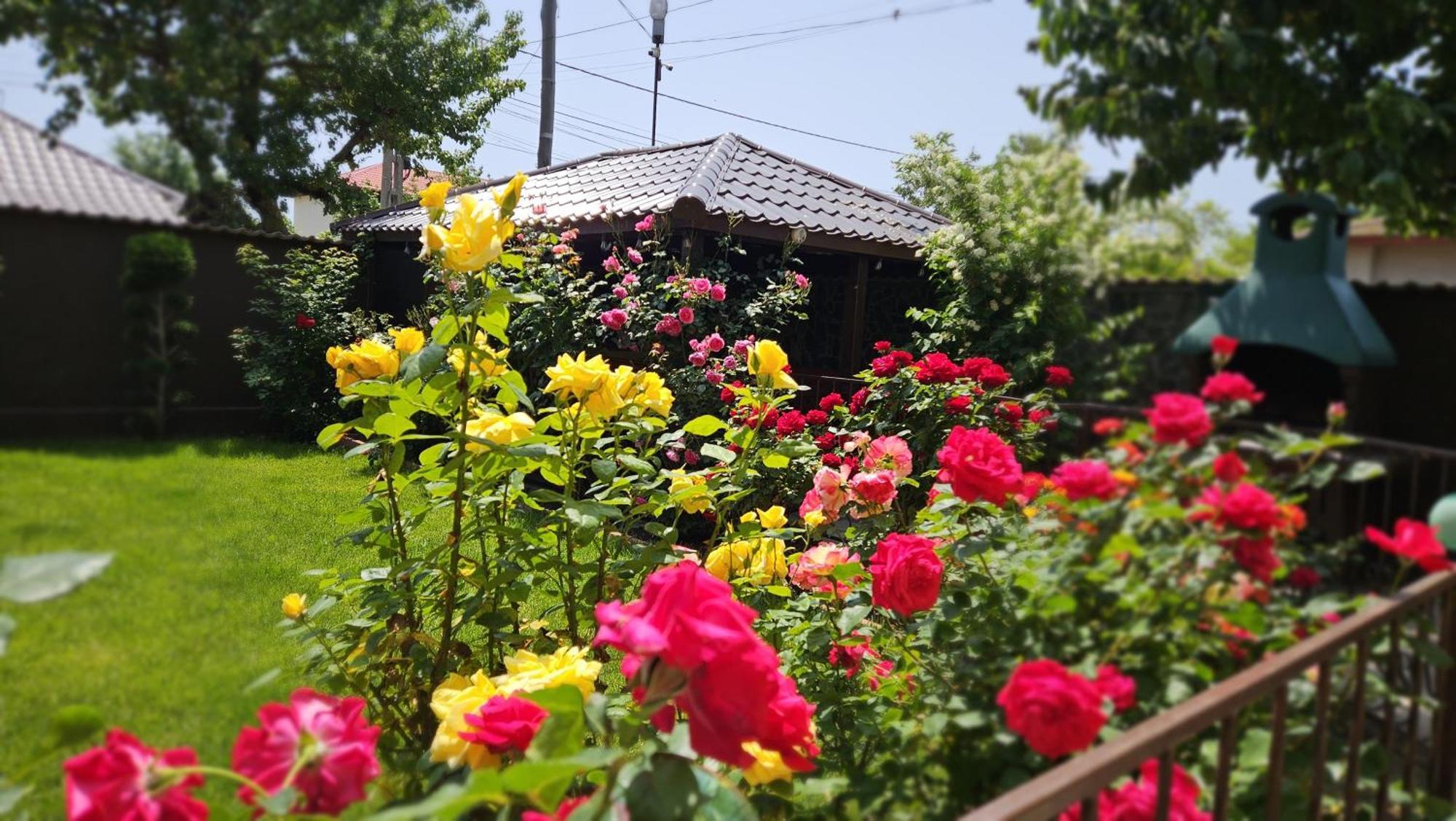Villa Mugur Două Mai Buitenkant foto